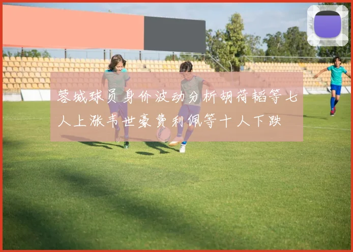蓉城球员身价波动分析胡荷韬等七人上涨韦世豪费利佩等十人下跌